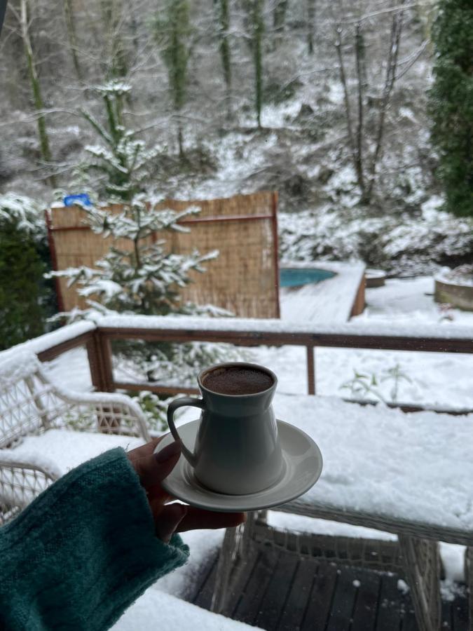 Bls Bungalove Sapanca Zewnętrze zdjęcie